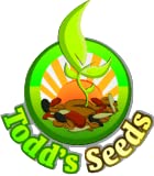 Todd's Seeds - Hard Red Wheatgrass - 5 Lb's - Sprouting Wheat Grass Seeds for Sale - Plant & Grow Wheatgrass, Flour, Grain & Bread - Wheatgrass Juice - Excellent Germination - Sprouting Seeds - Sprouted Wheat