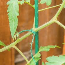 Rocky Mountain Goods Green Jute Twine Heavy Duty 200 ft - 3 Ply Strong Soft Natural Fiber for Plants, Gardening - Soft Jute Wont Harm Plants - Climbing Plants, Tomatoes