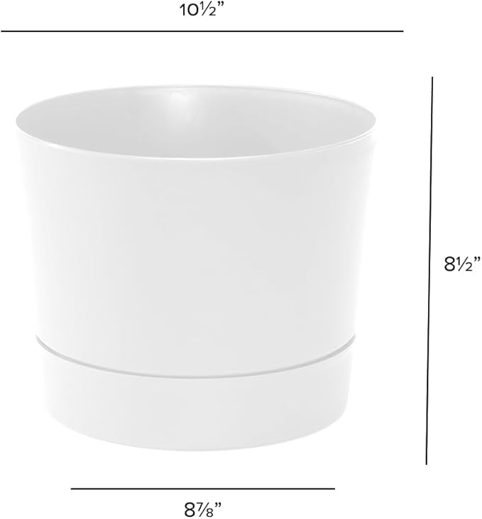 Root & Vessel Majestic Mid-Century Modern Low Profile Cylinder Pot, Matte White, 10.5"