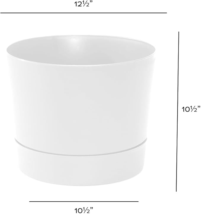 Root & Vessel Majestic Mid-Century Modern Low Profile Cylinder Pot, Matte White, 12.5"