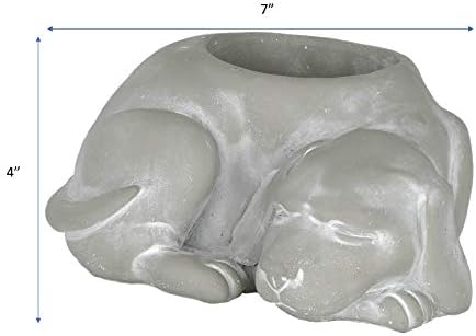 Classic Home and Garden Cement Buddies Animal Planter - Cute Desk Decoration - UV Coated Animal Vase w/Drain Plug - Succulent Plant Pot for Indoor/Outdoor Use (Dog Planter, Natural, Small)