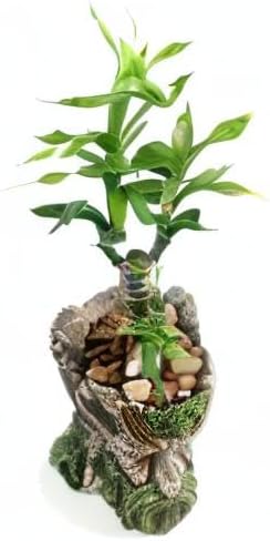 Funny Planter Head Planter with Drainage Hole Resin Plant Pot Pencil Holder Desk Storage(Mustache Man)