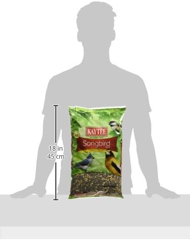 Kaytee Wild Bird Seed, 7 Pound | Songbird Blend | Pack of 2