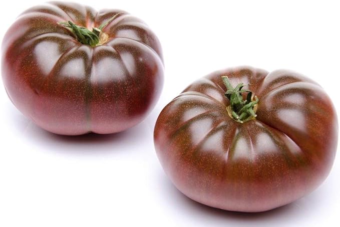 Seeds Black Prince Tomato Indeterminate Rare Variety True Siberian Tomato Non GMO Heirloom