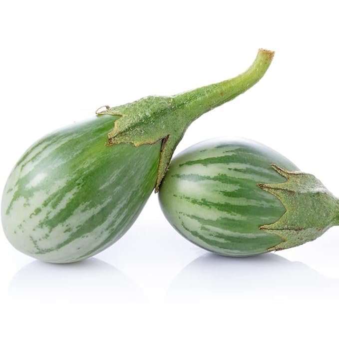 50 Seeds Thai Eggplant Seed, Thai Green Fingers Eggplant Asian Vegetable Seeds