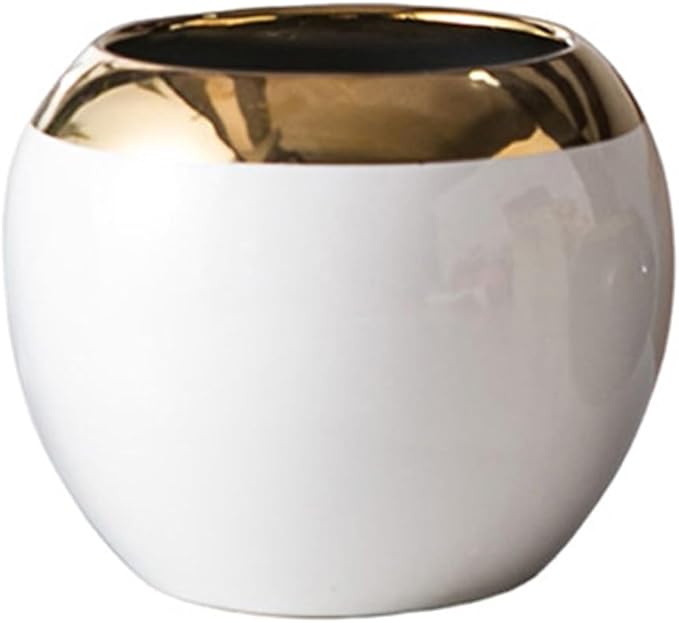 White Gold Spherical Ceramic Plant Pots Succulent Small Plant Pot Indoor Modern Decorative Indoor-Outdoor Garden Plant Pots with Drainage Holes - Plants Not Included 3.94 x 3.94 x 3.15 Inch
