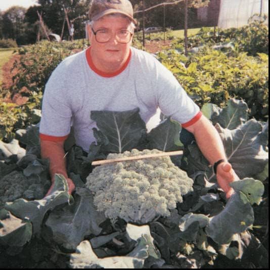 Plantfood Helps Your Plants Grow Bigger Faster and Stronger (2.5lb)