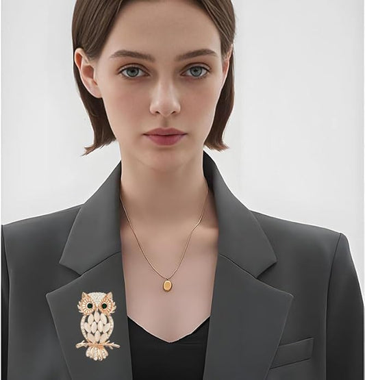 Rhinestone Owl Brooch Pin for Women Cute Big Cartoon Cat Eye Stone Owl Bird Brooch Unique Double Owl Brooch Pin Clothes Bag Hat Dress Jewelry