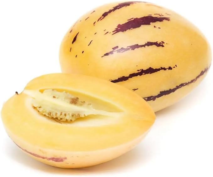 25pcs Pepino Melon Seeds Solanum Muricatum Fruit Seeds