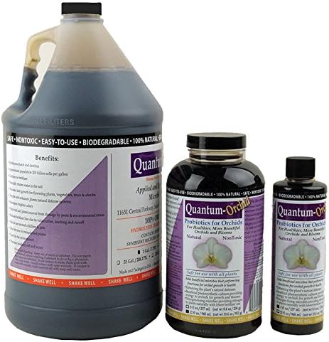Quart - 32 Ounce Bottle
