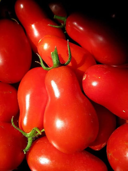 100PCS Red Pear Cherry Tomato Seeds Garden Vegetable Seeds