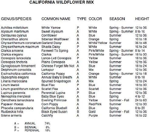 Dirt Goddess Super Seeds ~ California Wildflower Seed Mix (1 lb) 843,000 Seeds