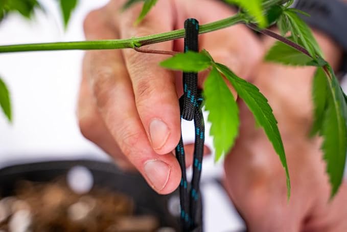Low Stress Training (LST) Adjustable Plant Ropes - 10 Pack