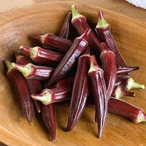 Seeds Alabama Red Okra (Bamia, Lady Finger) Heirloom Vegetable Non GMO