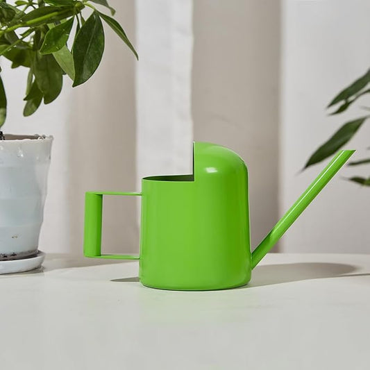 Watering Cans, 10oz/300ml Stainless Steel Long Spout Small Watering Sprinkling Pot, Indoor Outdoor Garden Flower Succulents Plant Watering Cans, Stylish Gardening Decoration(Green)