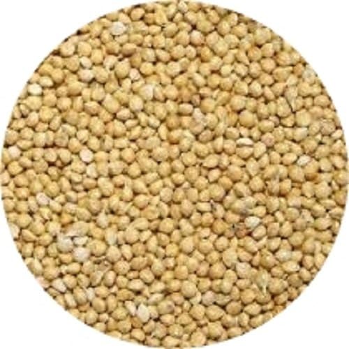 84075 White Proso Millet Wild Bird Food, 50-Pound