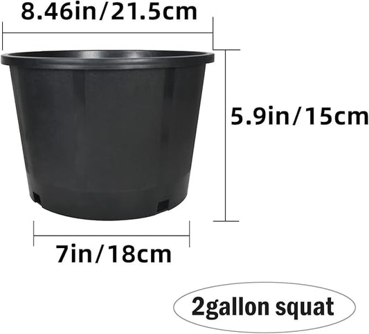 10-Pack 2 Gallon Squat Round Premium Nursery Pot Plant Flower Seedling Container Garden Planter Pots for Indoor Outdoor Plants Flower Vegetables Black (2 Gallon Squat)