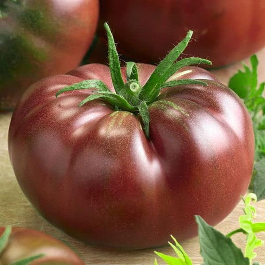 Seeds Black Elephant Tomato - Heirloom Vegetable - GMO Free