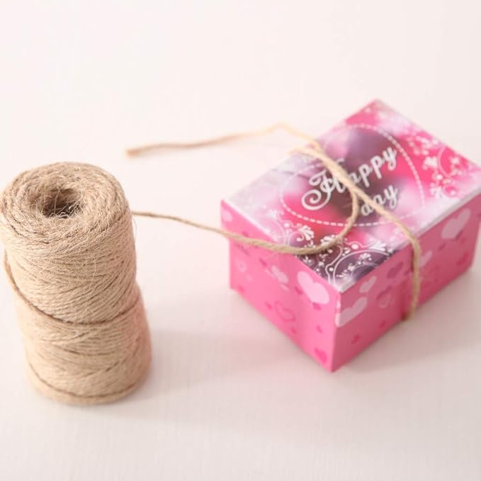 Quotidian Brown Natural 3 ply Jute Jute Twine Rolls 1/8" (0.3cm) 640 Feet - Wrapping Picture Hanging Gardening