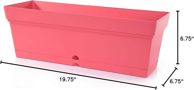 Mintra Window Box Planter, Window Planter Box for Indoor Outdoor Use, Rectangular Pots with Saucers & Drainage Holes, Decorative Plant Pots for Window Sill, Shelf, Desktop, 19" Wx6.75 H, Coral