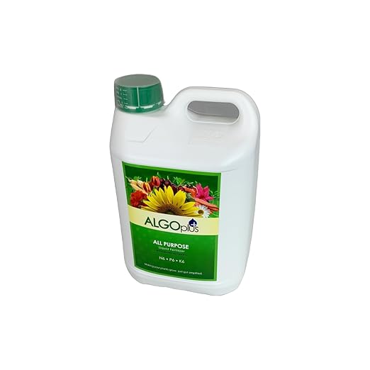 AlgoPlus Rose Liquid Fertilizer - Single
