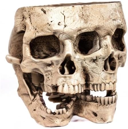 Kobi & Knight Skull Planter Pot for Indoor Plants - Skull Flower Pot in Gift Box - Gothic Planter Pot for Succulents, Brain Cactus Plants - Double Skull Planters for Halloween, Goth Home Decor