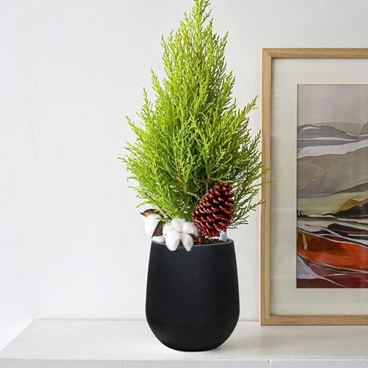 11.8 Inch Plastic Tall Planters for Outdoor Plants, Modern Black Round Tapered Flower Pot for Outdoor and Indoor Plants, Large Plant Pot with Drainage Holes and Rubber Plug for Home Garden Patio
