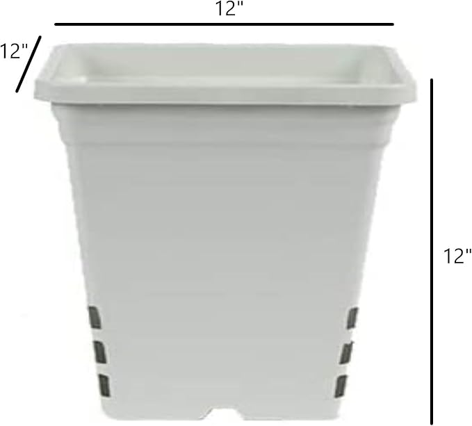 SUNPACK Square Tall Nursery Pot, White, 12" (Pack of 24) - Features Drainage Holes for Excess Water, Perfect for Greenhouse or Outdoor Growing - Durable, UV Resistant Plastic