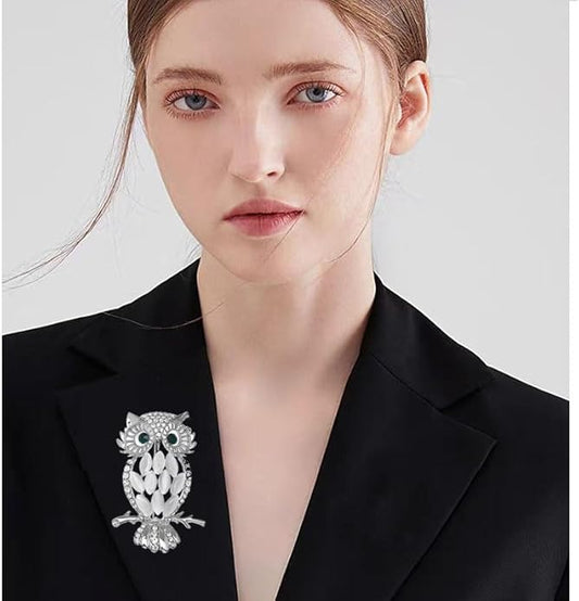 Rhinestone Owl Brooch Pin for Women Cute Big Cartoon Cat Eye Stone Owl Bird Brooch Unique Double Owl Brooch Pin Clothes Bag Hat Dress Jewelry