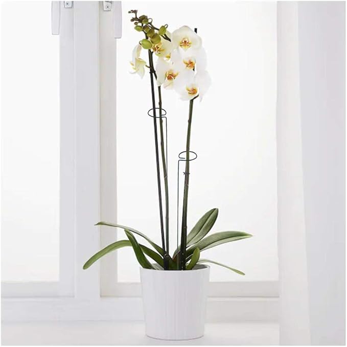 Green 24 inch Single Stem Plant Stakes Flower Support Rings, Pack of 20,Gardening Planter Cages for Single Stem Flowers, Amaryllis, Peony, Lily,Narcissus