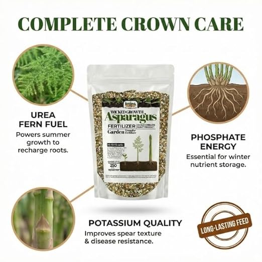 Old Cobblers Farm™ Wicked Growth Asparagus Fertilizer – Balanced Formula for Healthy Spears & Strong Root Growth – Supports Early Season Growth (5 lbs | 10 lbs | 15 lbs | 20 lbs) (10 lb)