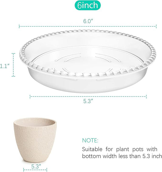 6 Pack Clear Plant Saucer 6 inch, Durable Plastic Plant Trays for Indoor, Round Flower Plant Pot Saucer, Sturdy Plant Water Catcher Tray