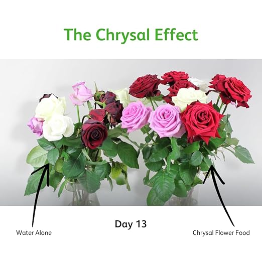 Chrysal Cut Flower Universal Food (10 ml/L Bottle) — Increase The Flower Boost with Floral Supplies for Fresh Flowers — Flower Arrangements Supplies — Ideal Florist Supplies — Flower Food