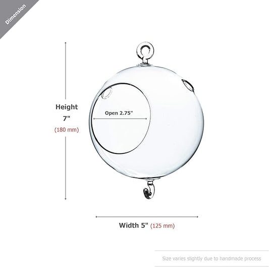 WGV Hanging Terrarium Globe, Width 5", Height 7", Double Hook, DIY Air Succulent Planter, Clear Glass Vase Orb, Candle Holder for Windowsill Outdoor Garden Decor, 1 Piece