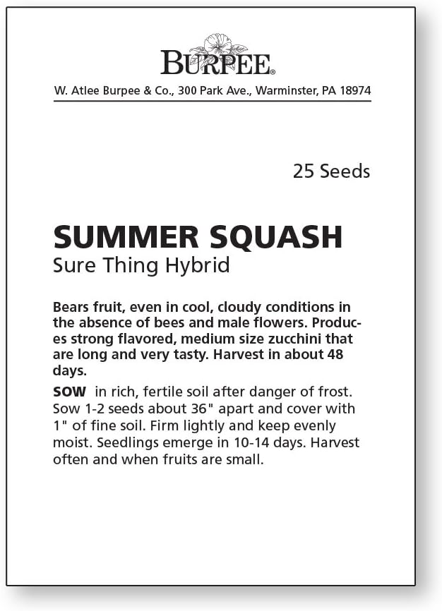 Burpee Sure Thing Zucchini Summer Squash Seeds 25 seeds