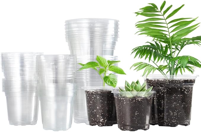 12 Pcs Clear Plastic Plant Pots with Humidity Dome, 9cm/10.5cm, Modern, Indoor, Adjustable Humidity and Temperature, Round, Solid