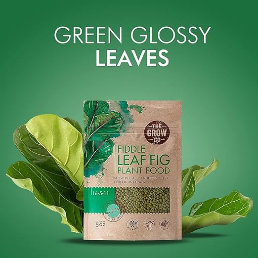 Fiddle Leaf Fig Tree Plant Food - Slow Release Fertilizer Pellets for Potted Figs - Steady Nutrients to Grow Healthy Indoor and Outdoor Ficus Plants (5 oz)