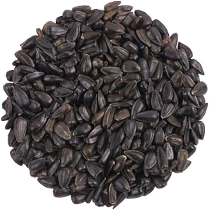 CountryMax Backyard Seeds Black Oil Sunflower Seeds for Wild Birds 25lbs - Thin Shells, Premium Cardinal Food, Medium Bag of Black Oil Sunflower Seeds