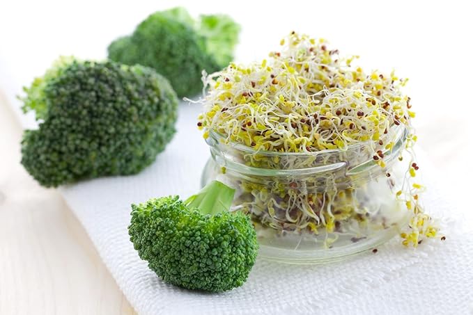 Todd’s Seeds - Calabrese Broccoli Sprouting Seeds, 1 lb - High in Sulforaphane, Non-GMO, Heirloom Variety - Bulk Seeds for Nutrient-Rich Sprouts & Home Gardening (Chemical Free - Better than Organic!)