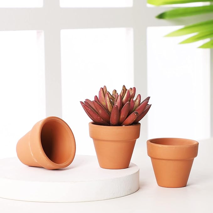 Yishang 1.9 Inch Tiny Terracotta Pots Pack of 72-Small Mini Clay Pots with Drainage Holes Flower Nursery Terra Cotta Planter for Tiny Cactus Herb lithop,Succulent Plants,Crafts,Wedding Favor