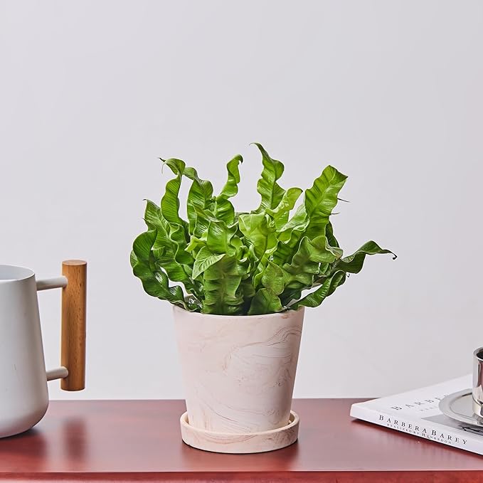 4 in Flower Planters Indoor, Modern Red Terra Cotta Plant Pot, Succulents Containers with Drain Hole Saucer, Decorate Home, Office, Outdoor/Garden Plants