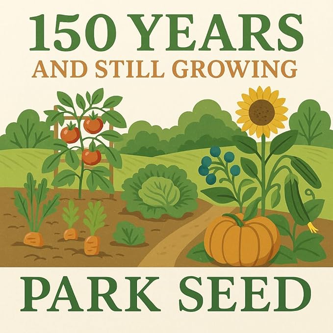Park Seed Zinnia Flower Planting Seeds, Easy to Grow, Perfect for Spring Garden, Magellan Mix, Pack of 25