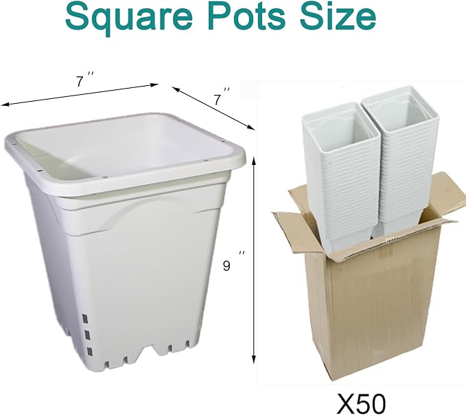 HG7X7SW 7"x7" Square White Pot, 9" Tall, Pack of 50 (50)