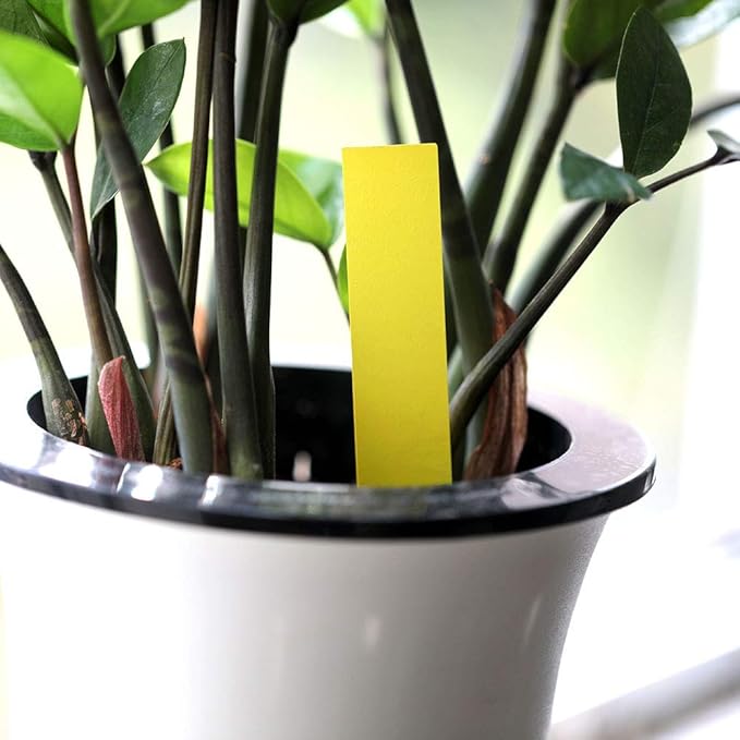 KINGLAKE 100PCS 1"x6" Yellow Plastic Plant Garden Labels Large Nursery Garden Tags