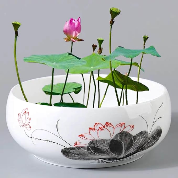 Lotus Bowl Planter, Ceramic Water Lily Bowl, Hydroponic Bonsai Lotus Bowls for Water Plants Indoor, Succulent Pots, Leak-Proof Design (7.68in*3.15in)