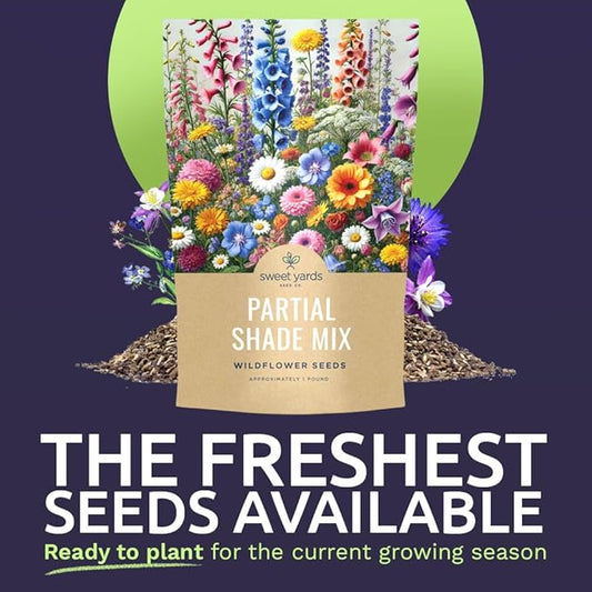 Bulk Wildflower Seeds Partial Shade Mix - 1 Pound Bag Over 120,000 Open Pollinated Annual and Perennial Seeds