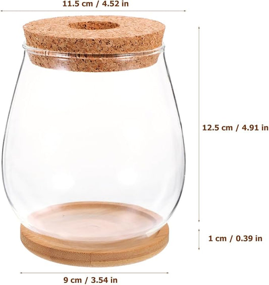 Milisten 1 Set Hydroponic Glass Vase DIY Cork Bottle Micro Landscape Bottle Coral Jar Aquarium Glass Terrarium Cork Planter Terrarium Dill
