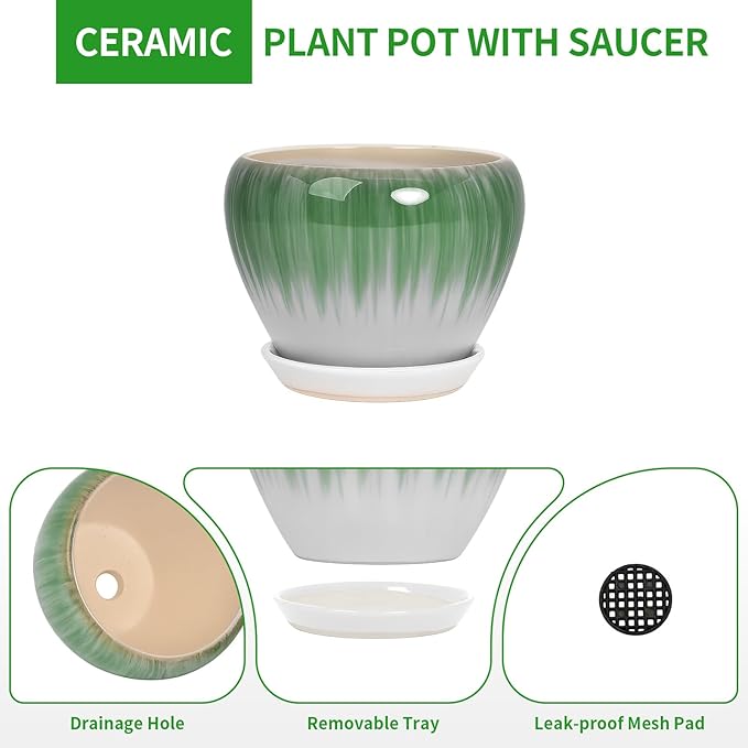 Deep Dream 6 Inch Plant Pots- Ceramic Planter Pot with Drainage Hole and Saucer, Round Flower Pot for Indoor Outdoor Succulent, Snake Plants and Cactus, White&Green