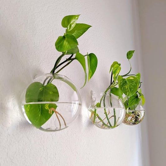 Hanging Wall Planters Pack of 6 Glass Planter Pots Round Glass Flower Vases Hanging Propagation Station Glass Plant Hanger Terrariums Wall Hanging Plant Container