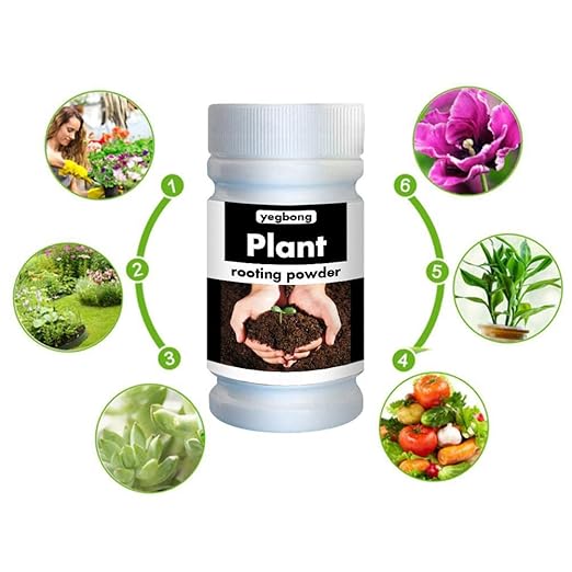 Root Powder, Rooting Powder for Cuttings Root Hormone Root Stimulator Fertilizer and Soil Improver Grow New Plants from Cuttings for Indoor Plants Shrubs Lawn Fruit Vegetables 50g & 100g(100g)